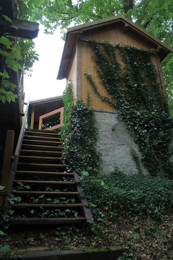 Holiday House Krkavec Veselí nad Lužnicí エクステリア 写真